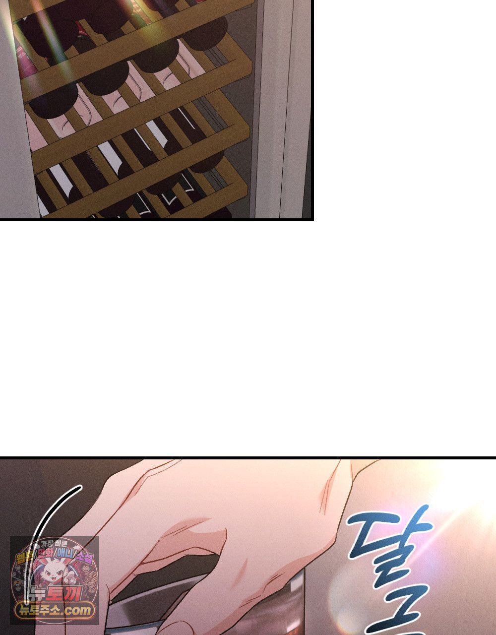 141.jpg