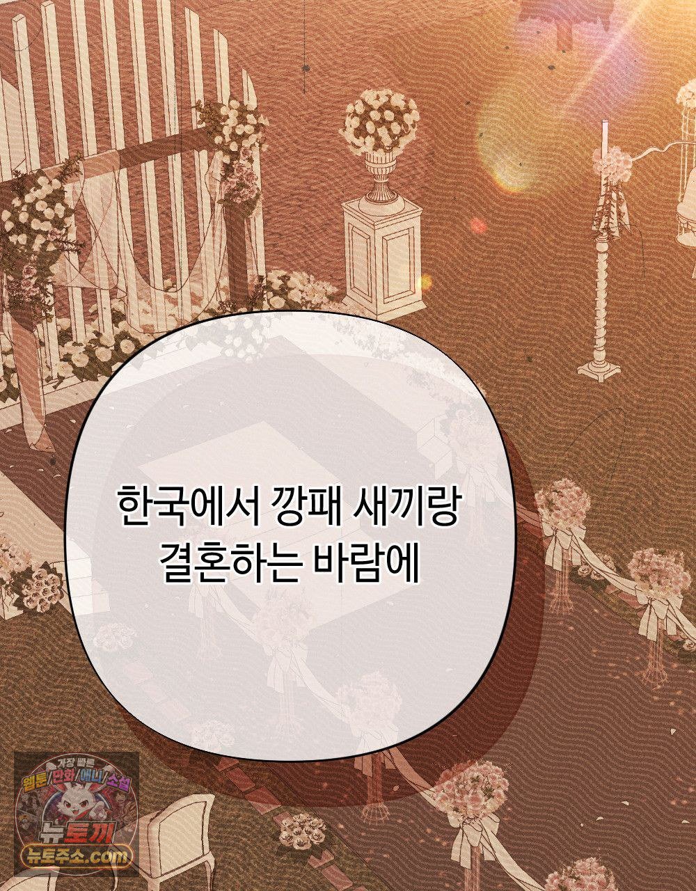 101.jpg