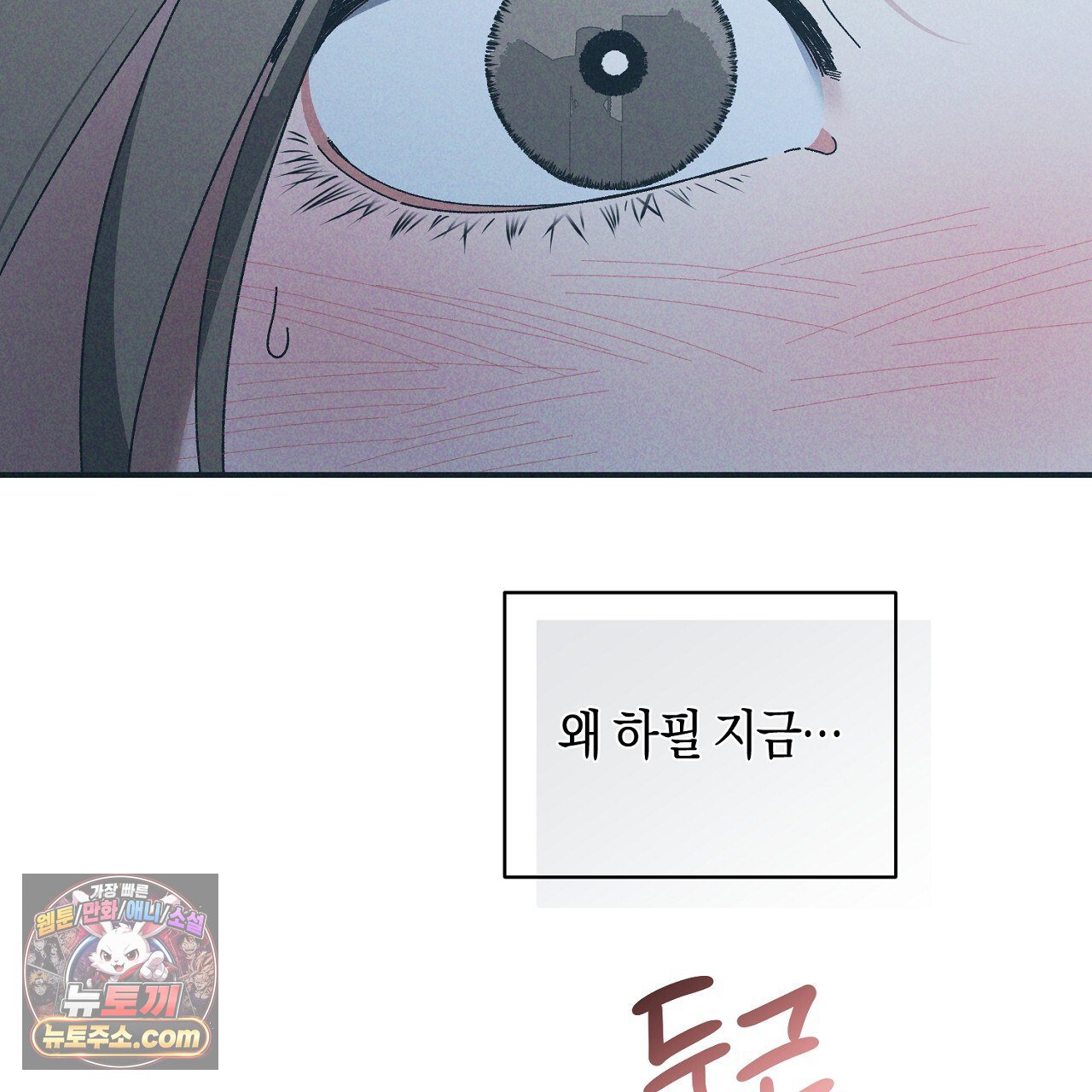 005.jpg