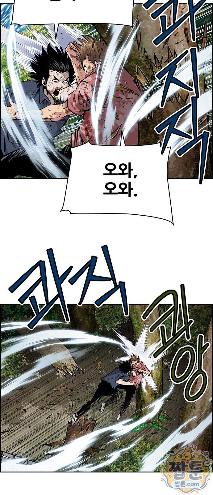 009.jpg