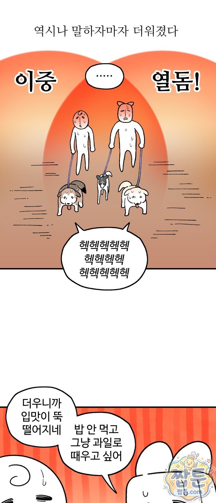 005.jpg
