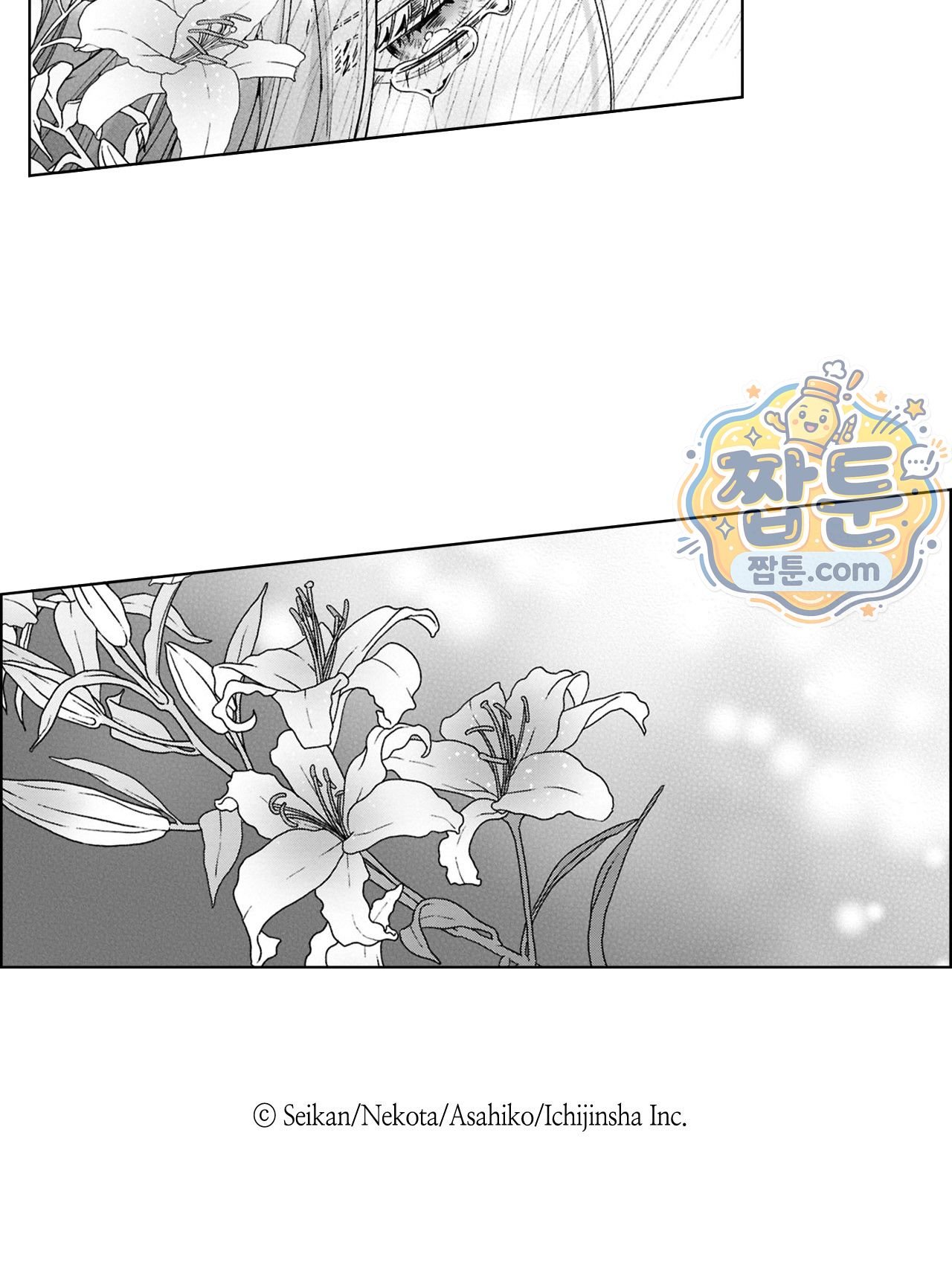085.jpg