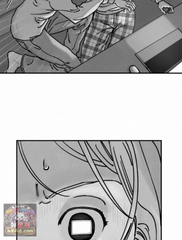 100.jpg