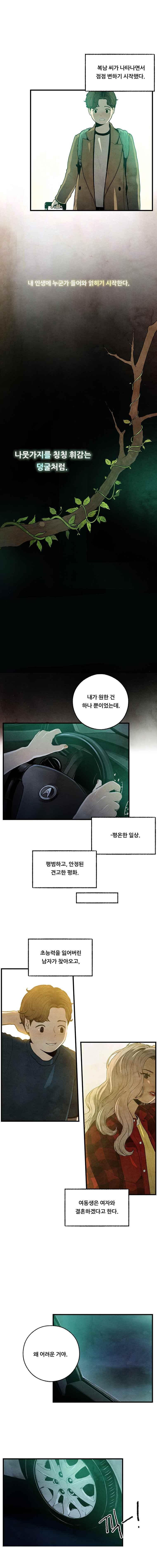 009.jpg