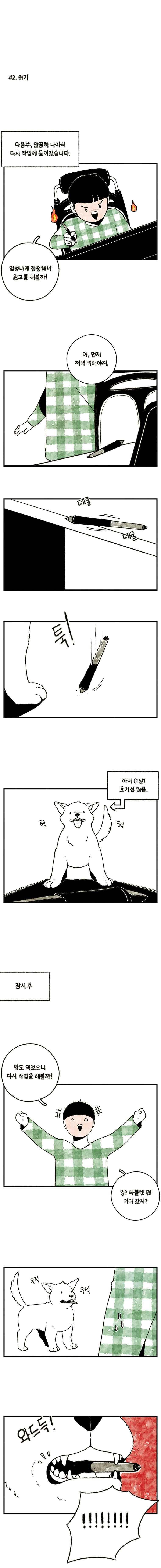 005.jpg