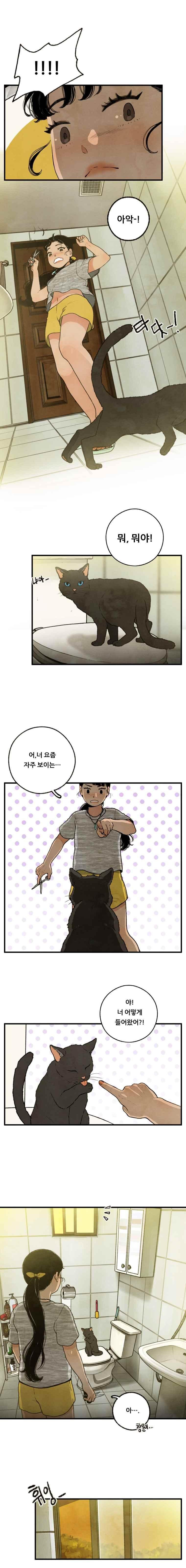 004.jpg
