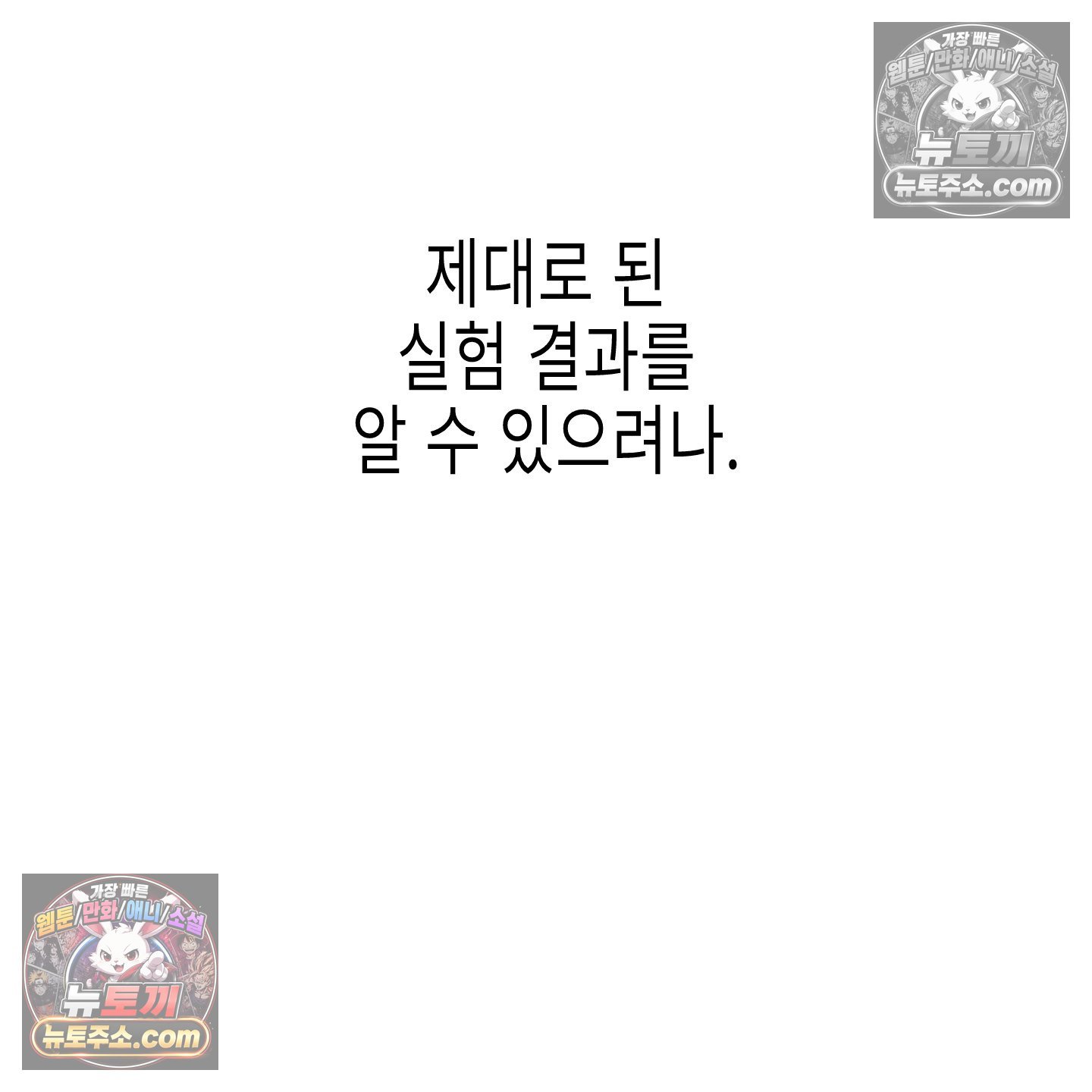 141.jpg