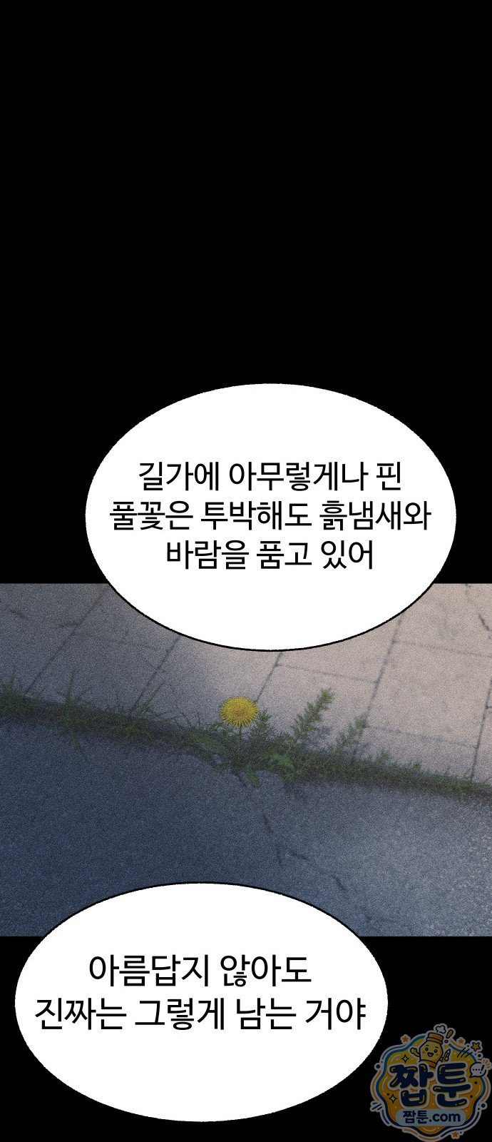 106.jpg