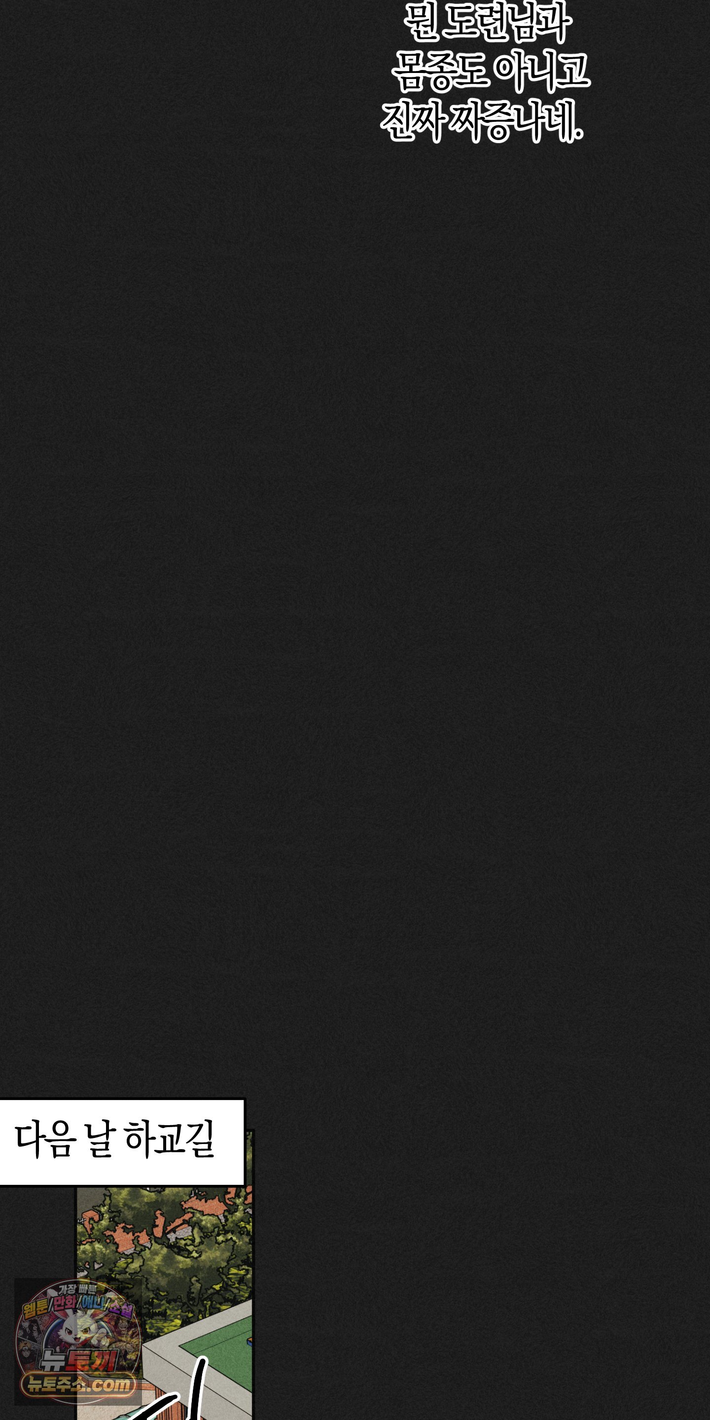 019.jpg