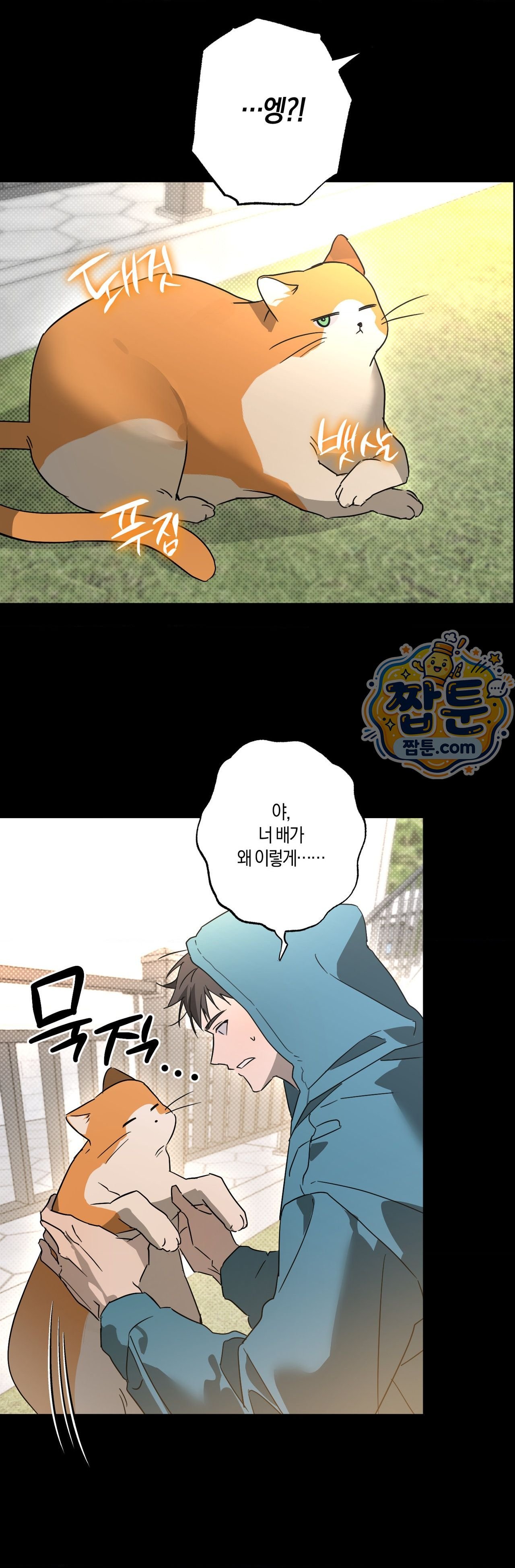 002.jpg