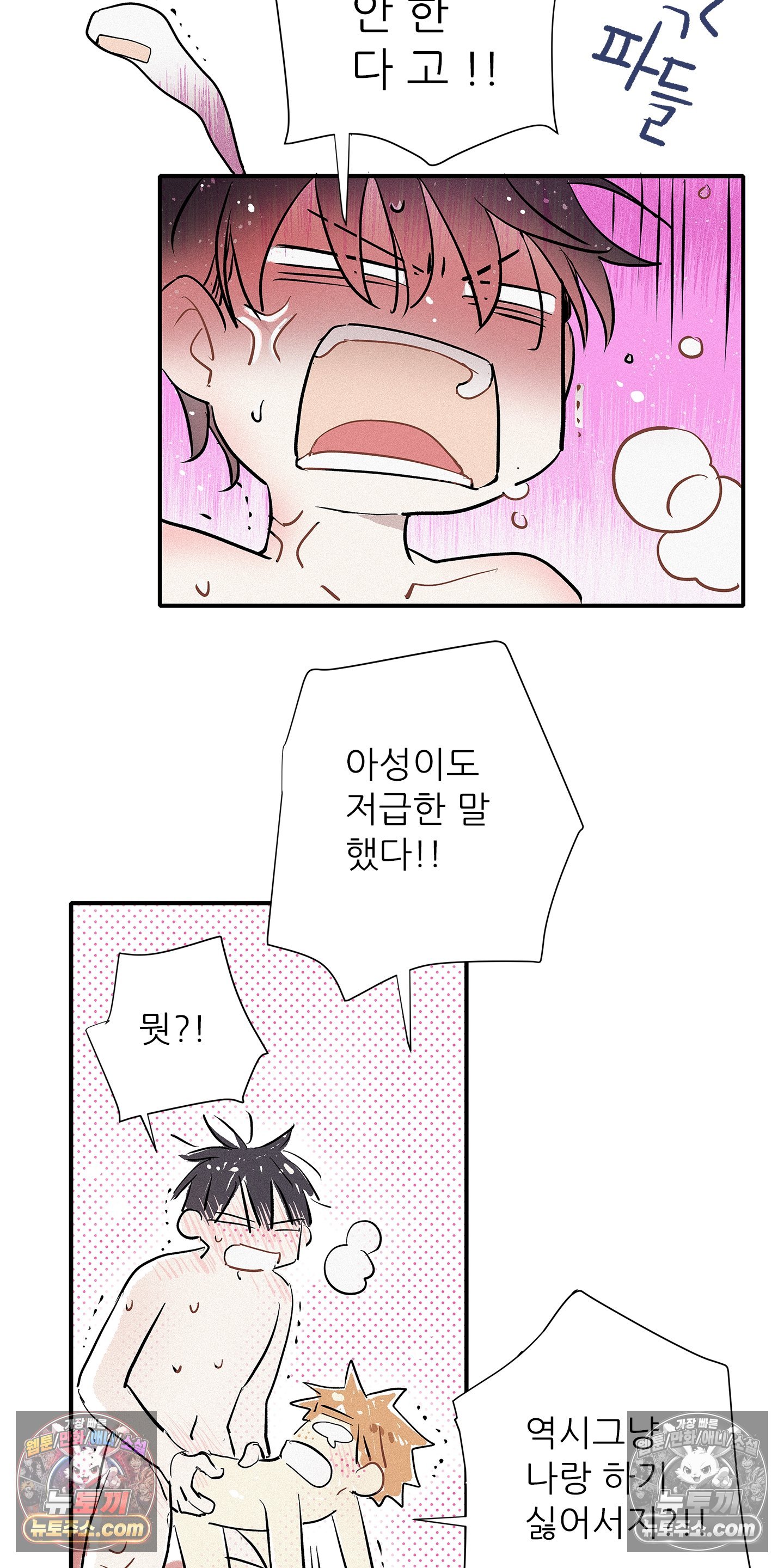 005.jpg