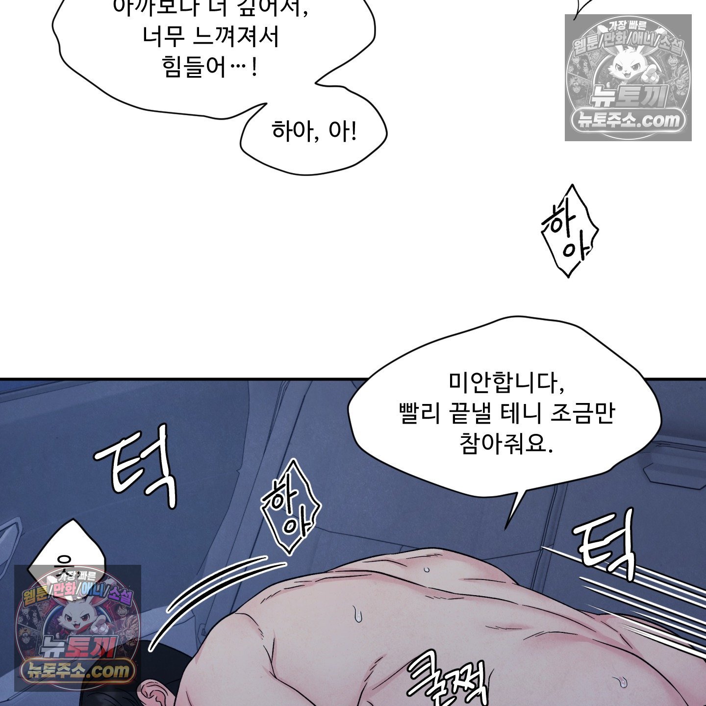 065.jpg