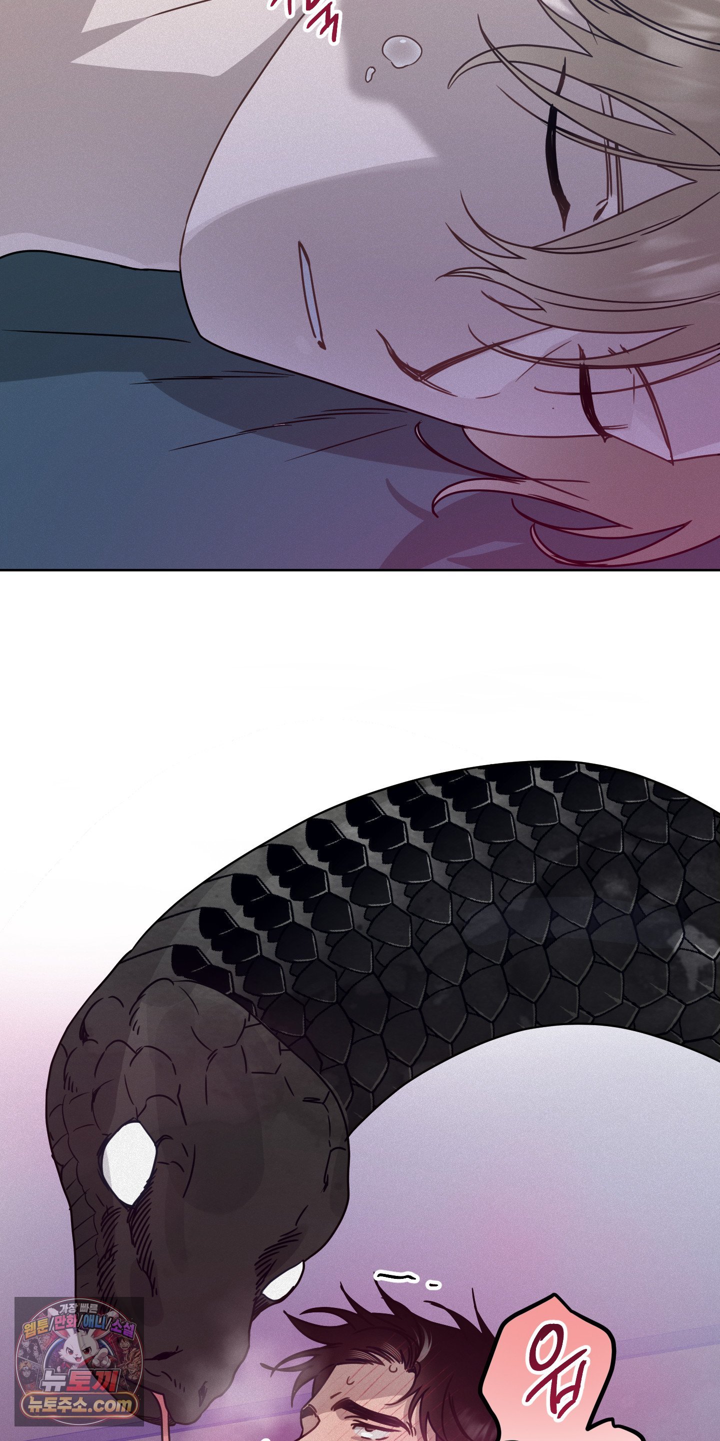 033.jpg