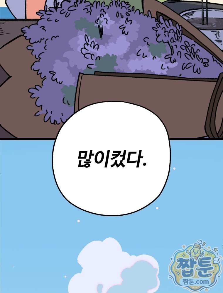 233.jpg