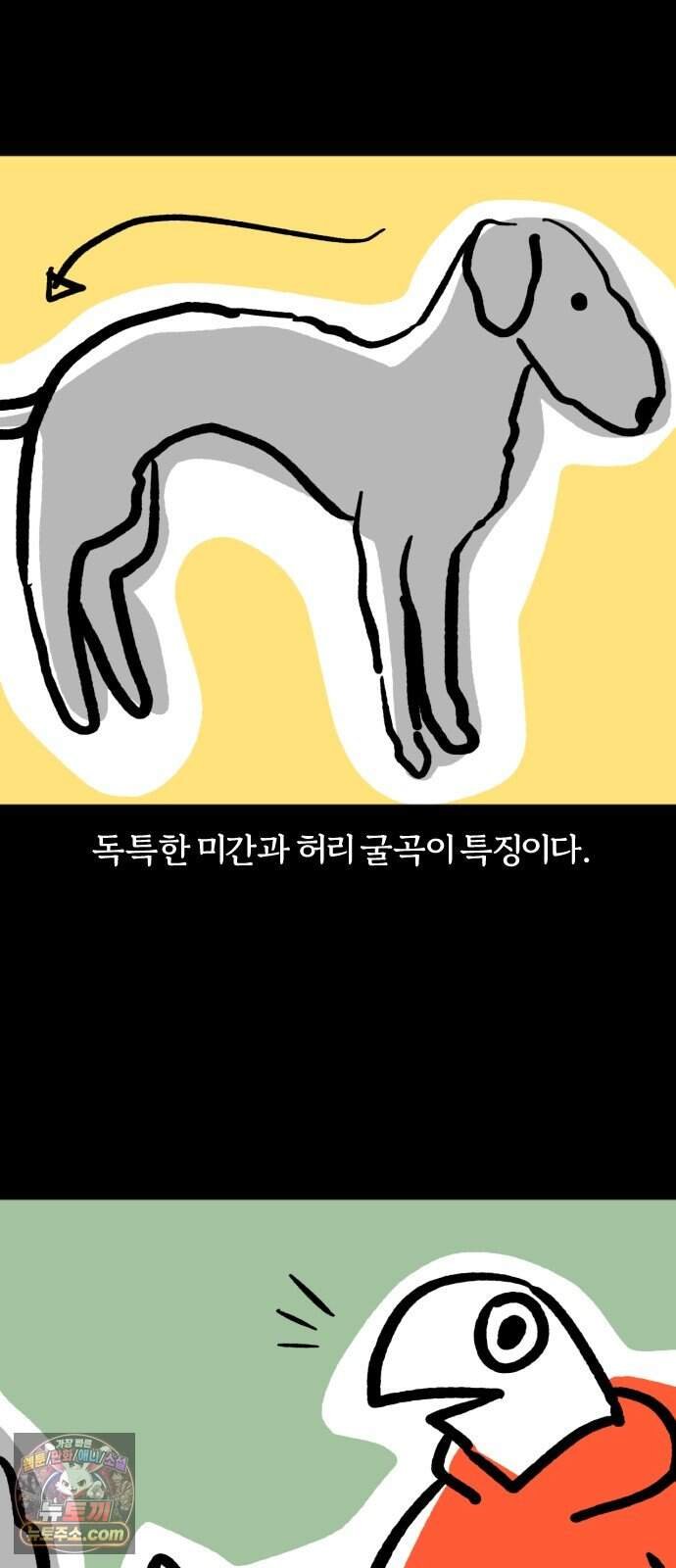 004.jpg