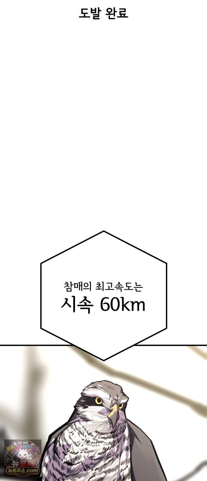 008.jpg