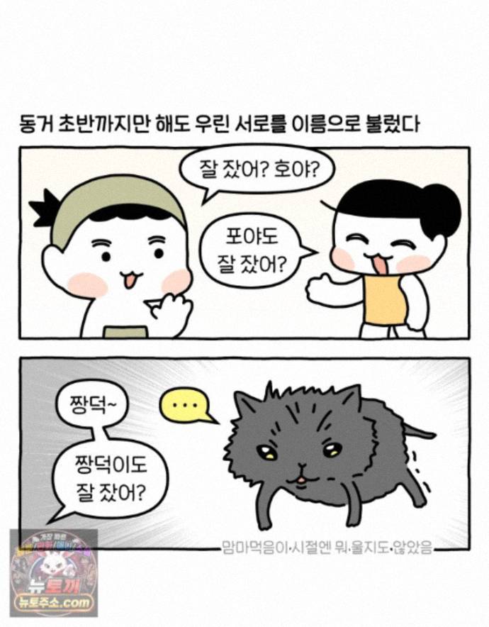 002.jpg