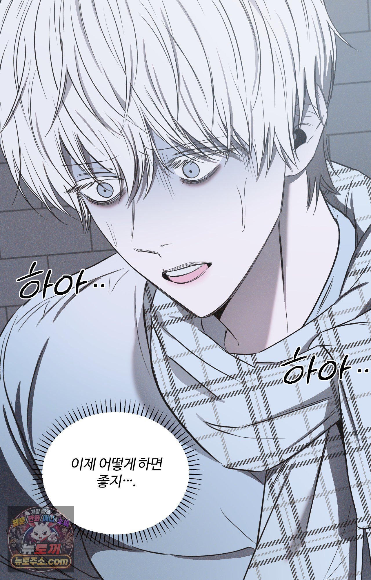 036.jpg
