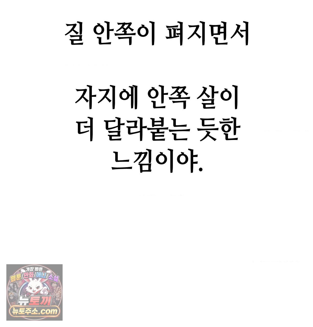009.jpg