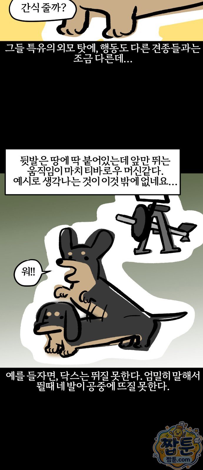 010.jpg