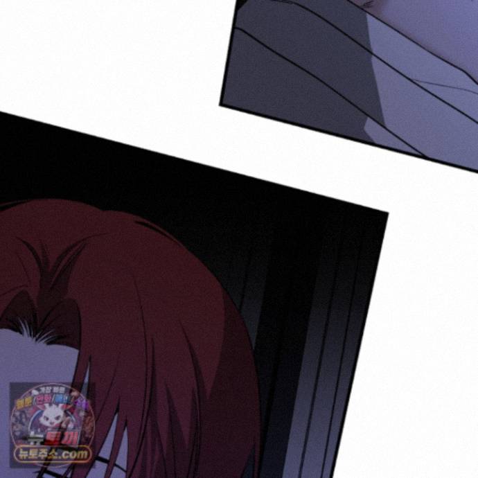113.jpg