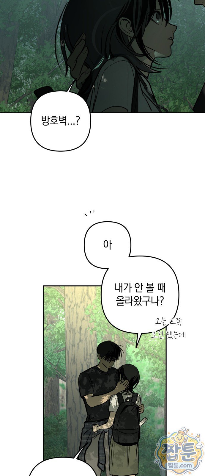 003.jpg