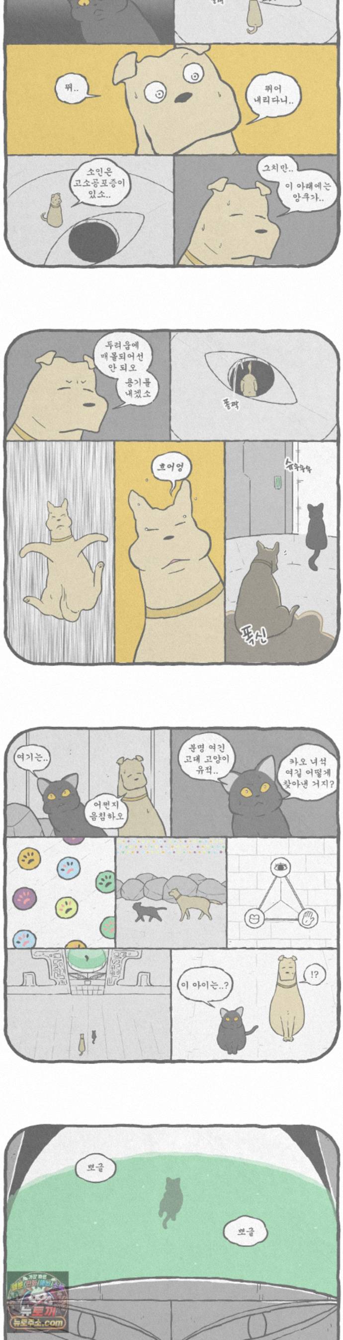 003.jpg