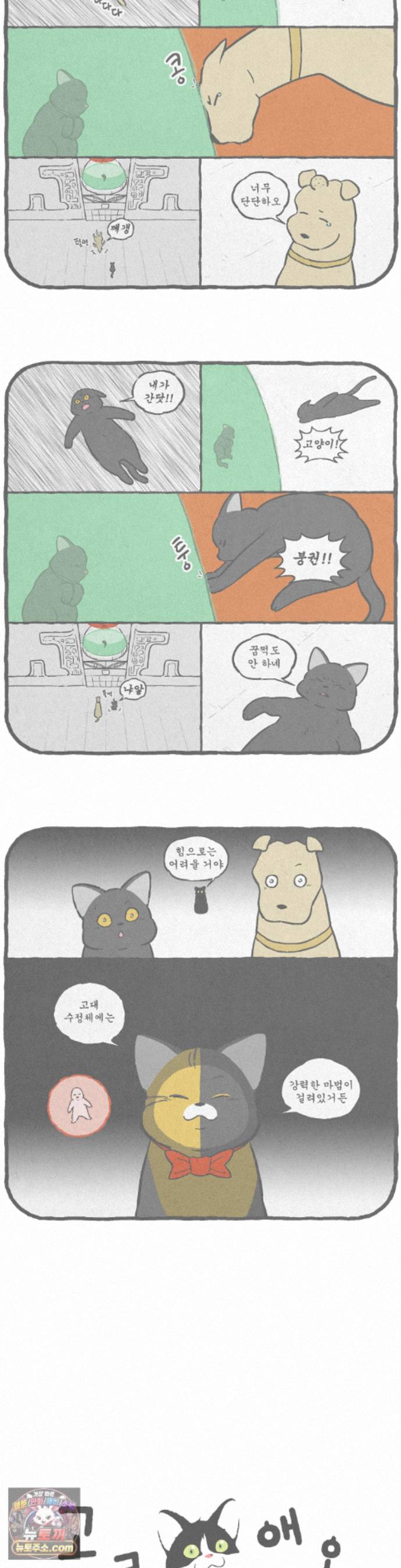 007.jpg