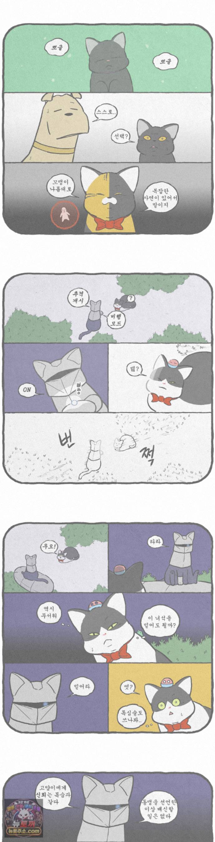 002.jpg