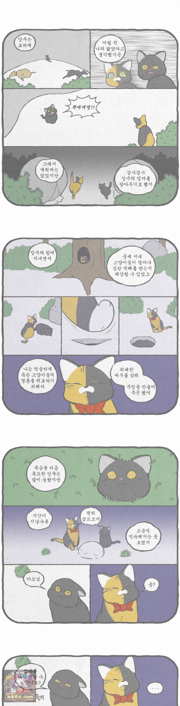 006.jpg