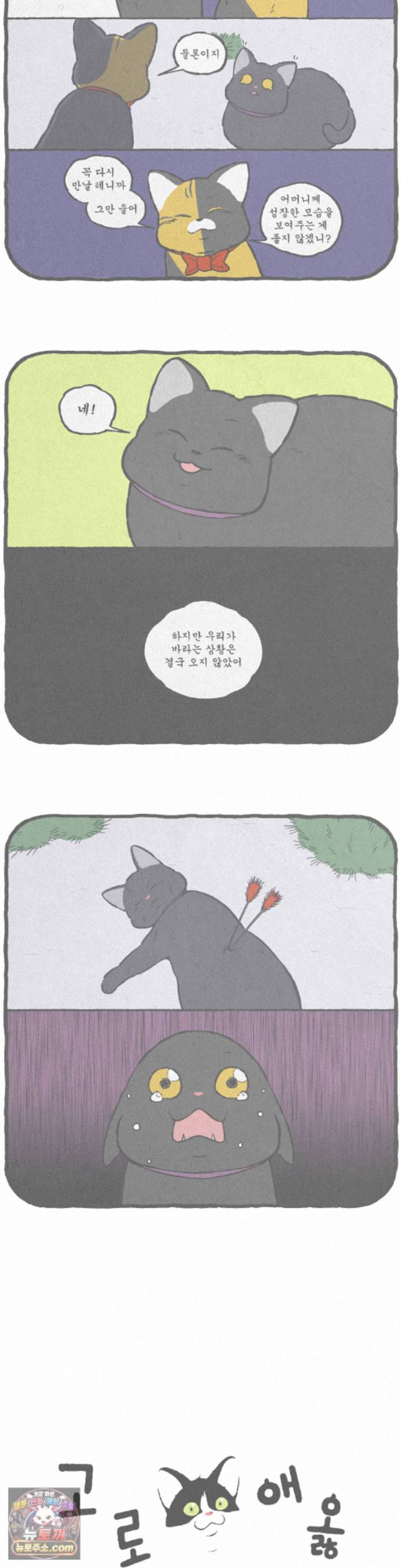 007.jpg