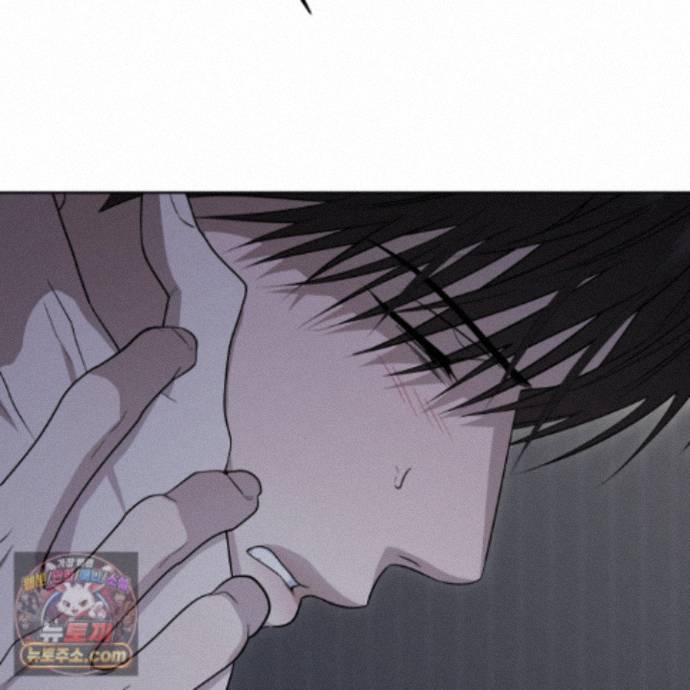 155.jpg