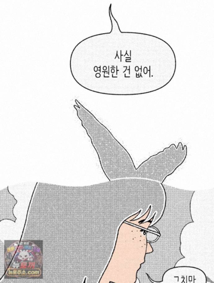 115.jpg