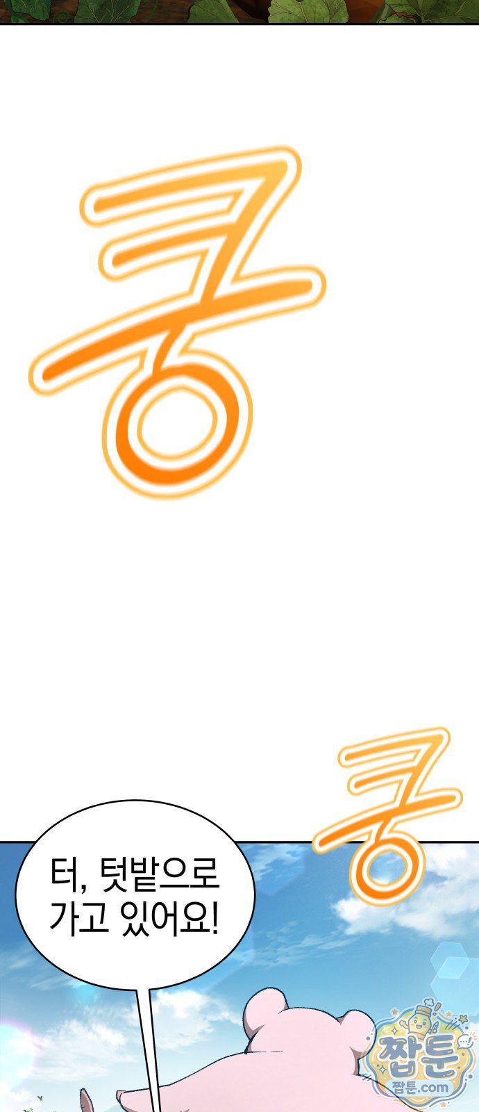 003.jpg