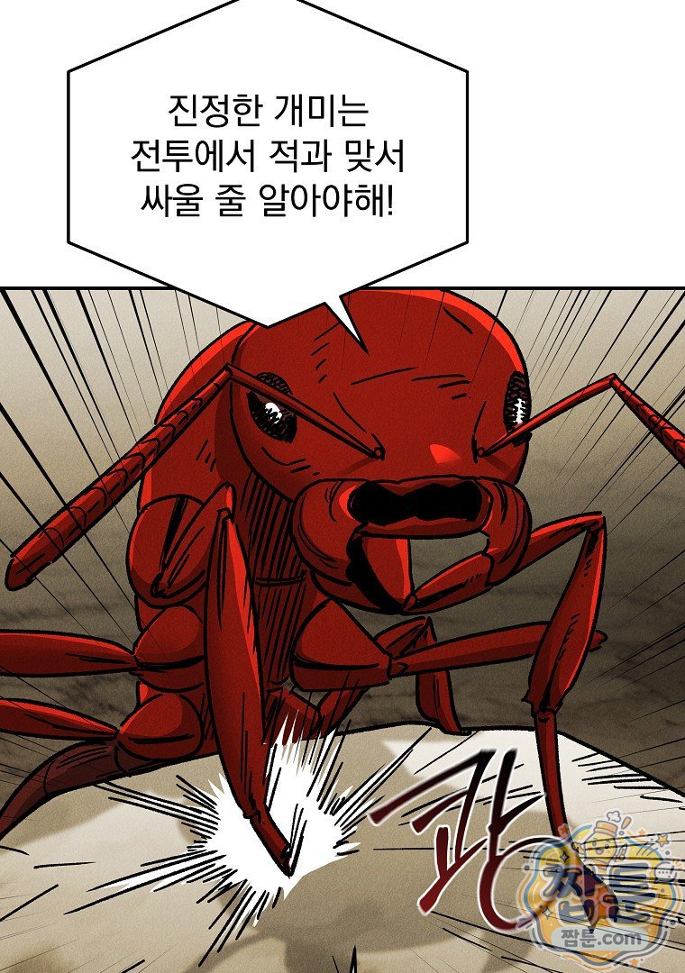 102.jpg