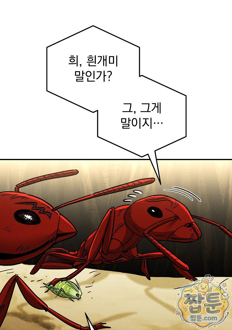 113.jpg