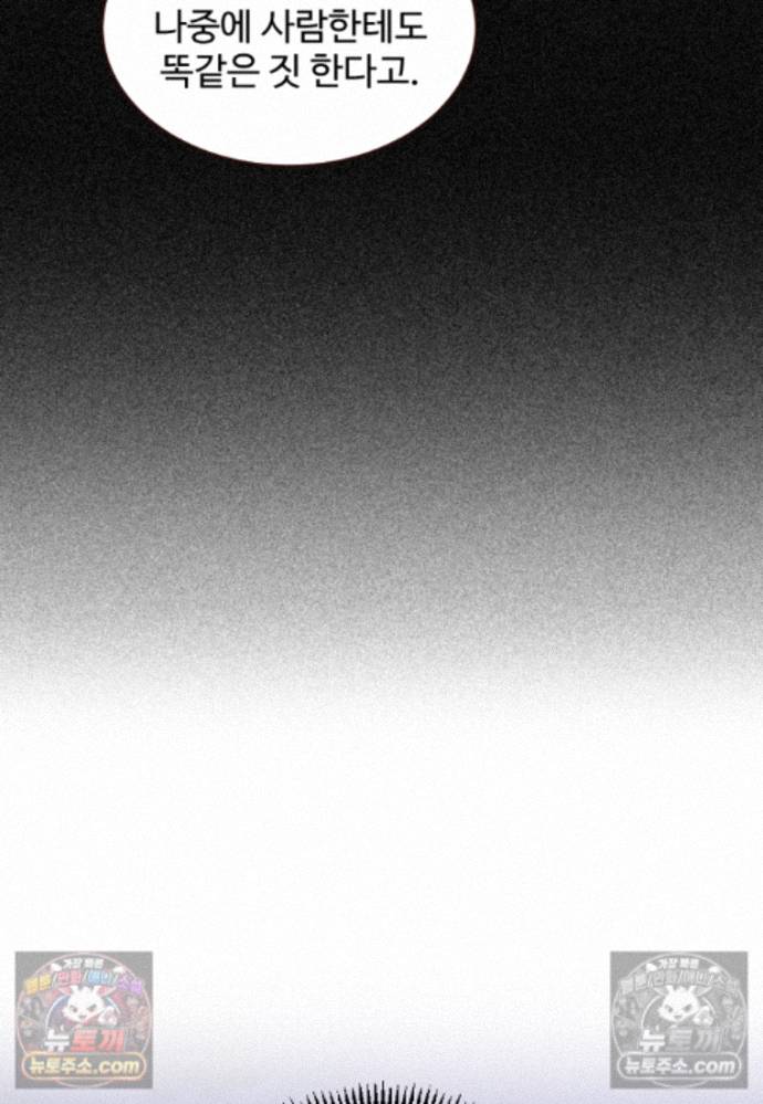 049.jpg
