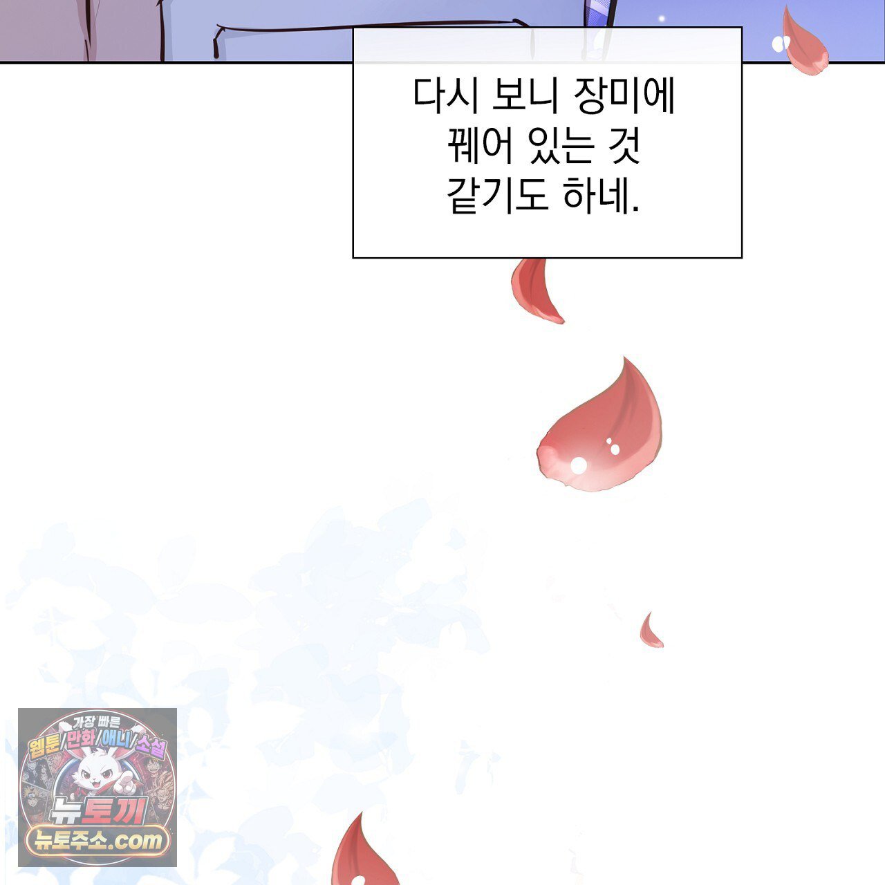 217.jpg