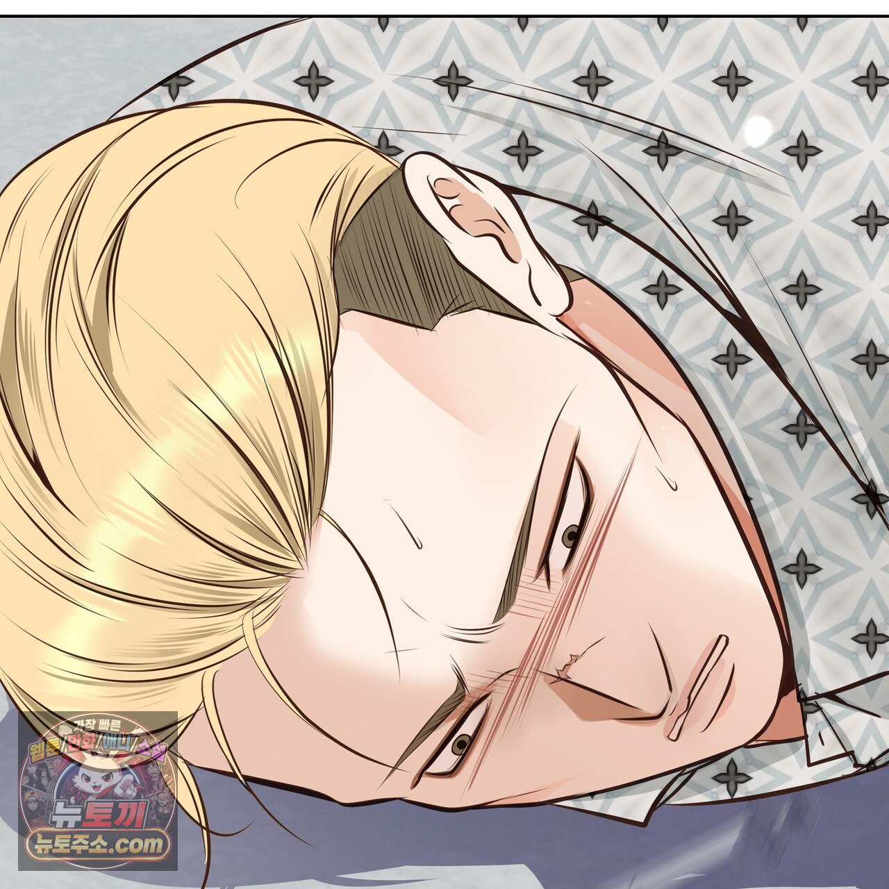 211.jpg