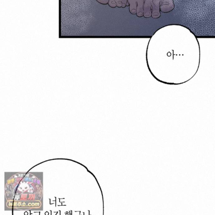 116.jpg