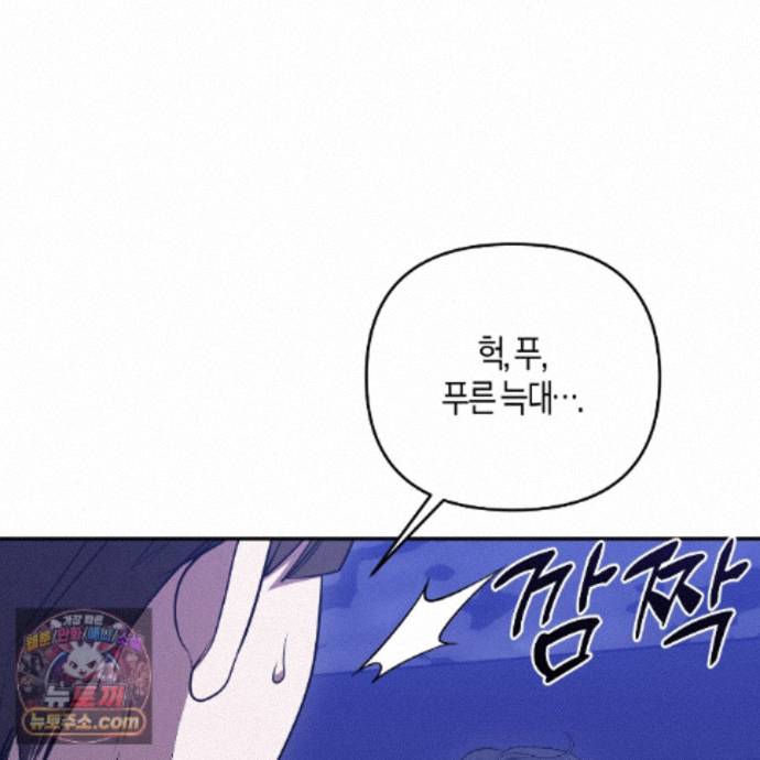 113.jpg