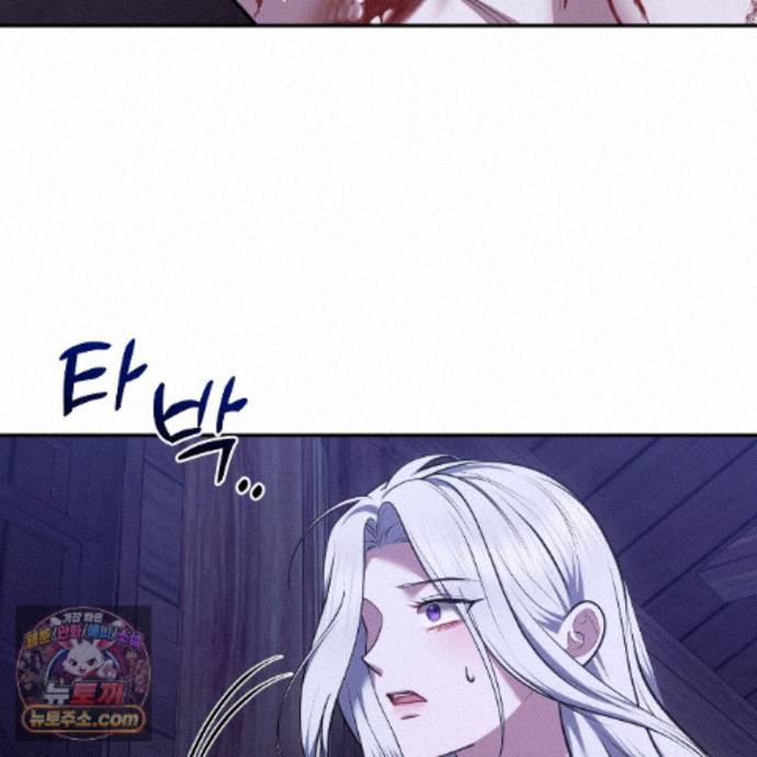 141.jpg