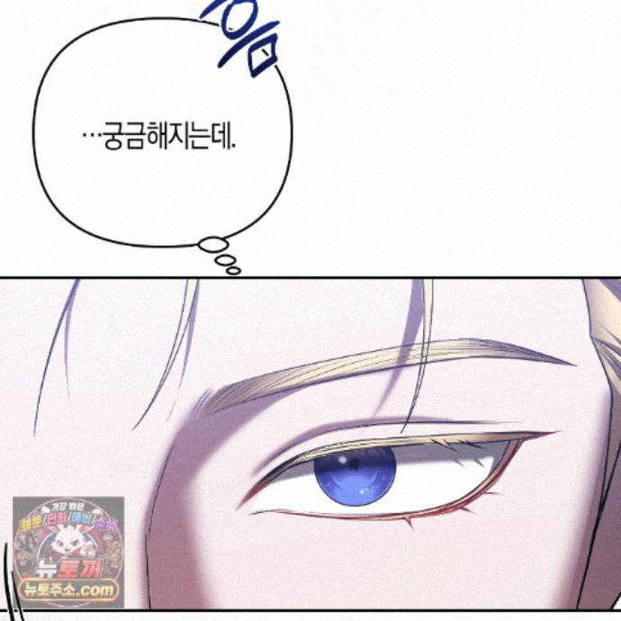 141.jpg