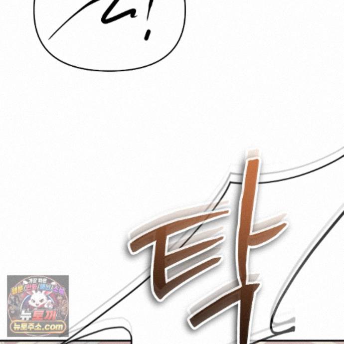 141.jpg