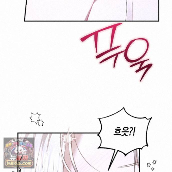 101.jpg