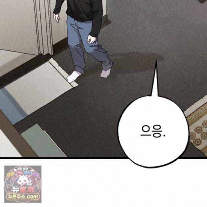 003.jpg
