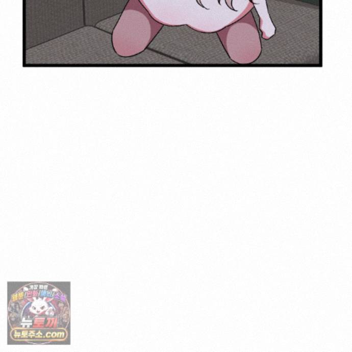 153.jpg