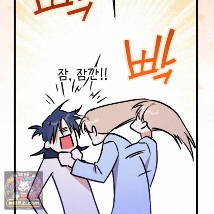208.jpg