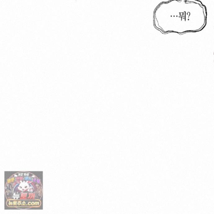 146.jpg