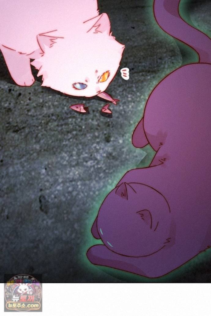 036.jpg